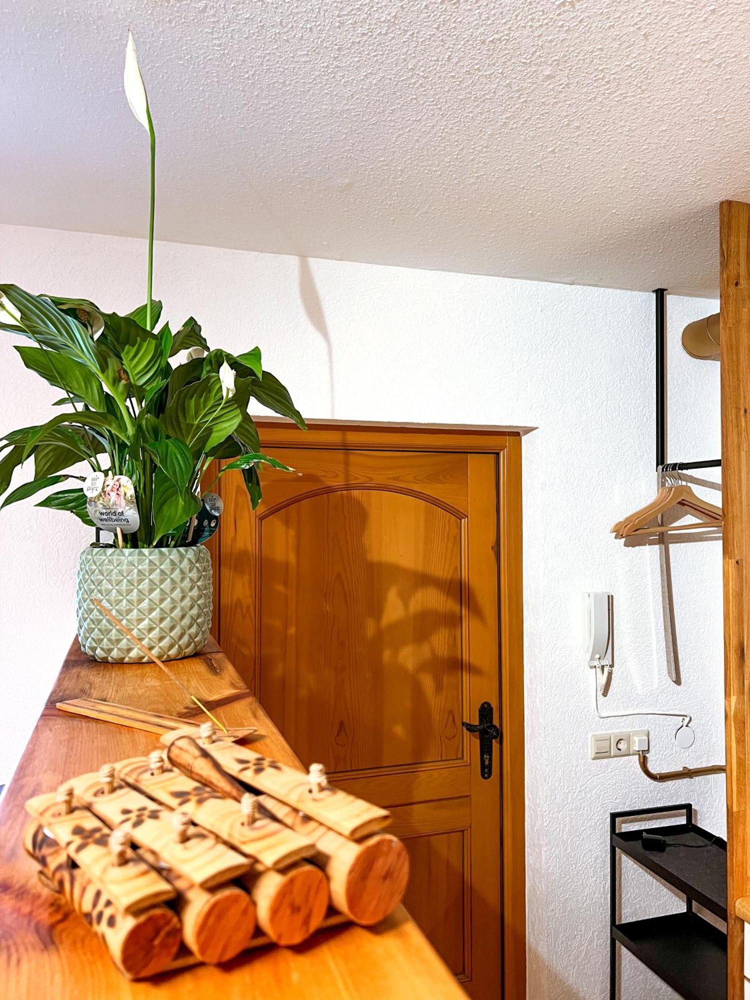 Cozy Vibes Appartement *